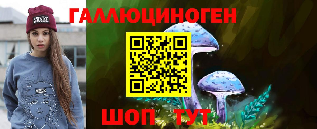 купить   Псилоцибиновые грибы Cubensis  Вход с VPN  Новотроицк 