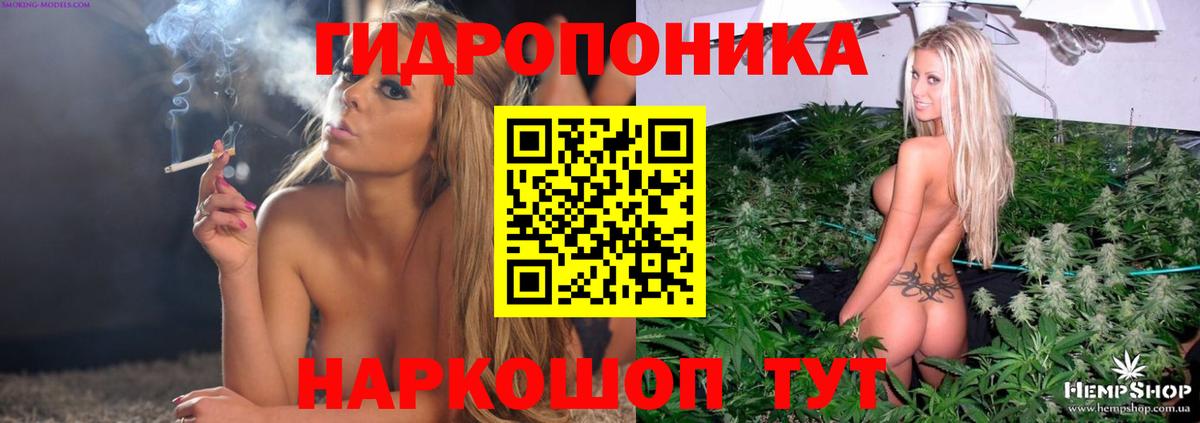 Шишки марихуана Ganja  Бошки марихуана ГИДРОПОН  Новотроицк  Вход с VPN  Канабис Amnesia 